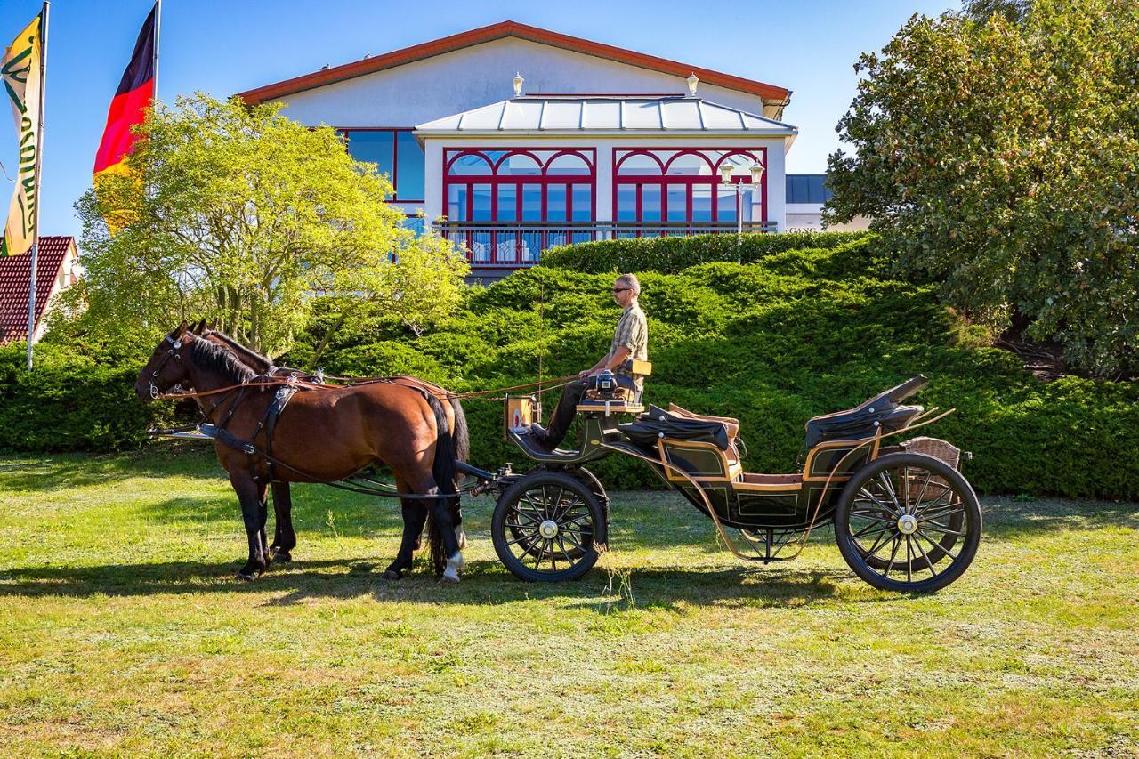 Hotel Am Gothensee Heringsdorf  Exteriér fotografie